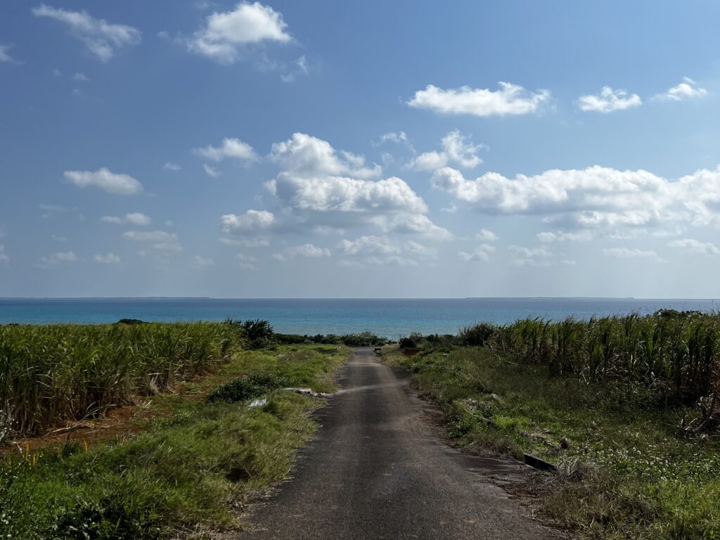 シュガーロード